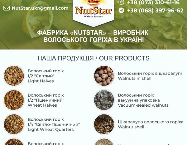 Волоський горіх від виробника на експорт, 1/2, 1/4, ядро, мікс, fca- фото № 4