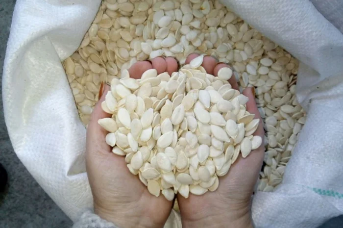 Куплю грецкий орех и тыквенные семечки- фото № 1