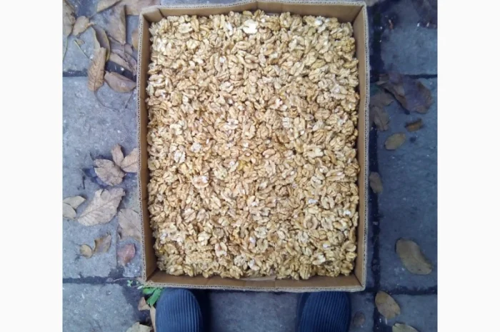 Продам ядро грецкого ореха- фото № 1