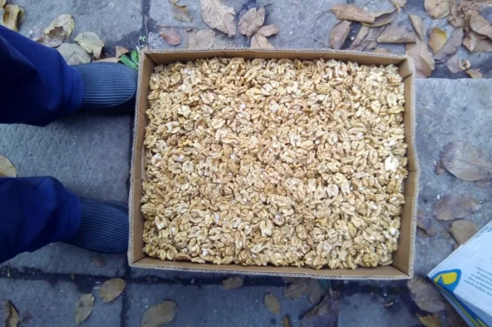 Продам ядро грецкого ореха- фото № 2