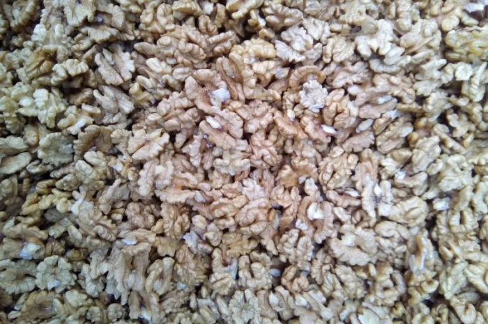 Продам ядро грецкого ореха- фото № 3