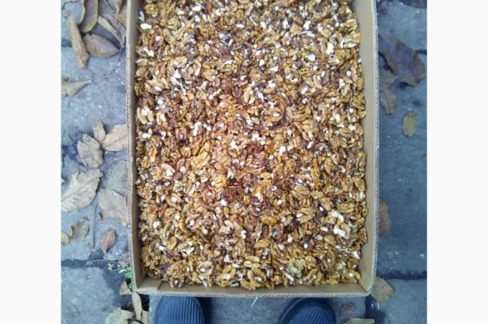 Продам ядро грецкого ореха- фото № 7