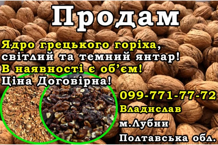 Продам ядро грецького горіха (янтар/темний янтар) Ціна Договірна! Є обєм- фото № 1