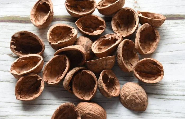 Продам скорлупу Грецького горіха. 150 т. 4- фото № 1