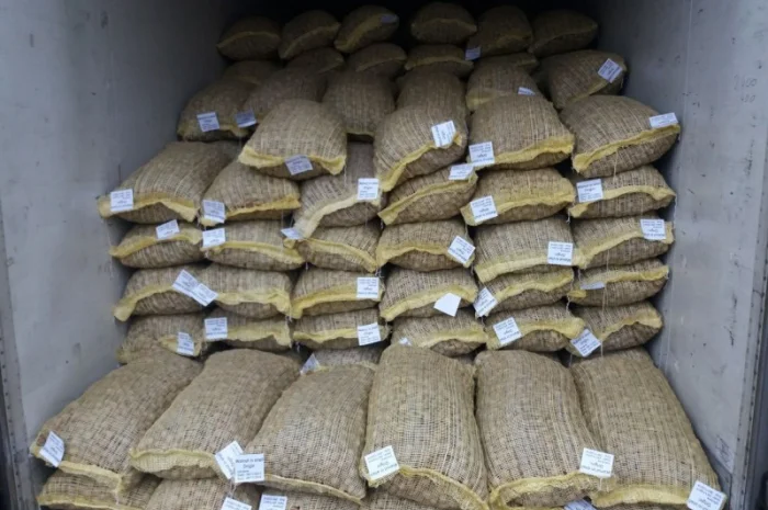 Куплю цілий грецький горіх- фото № 1