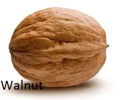 Продам грецкий орех целый на експорт- фото № 1