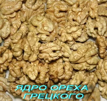 Куплю орех грецкий, ядро ореха- фото № 2