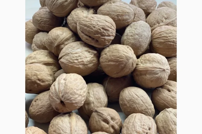 Продам грецький горіх кругляк на Експорт- фото № 6