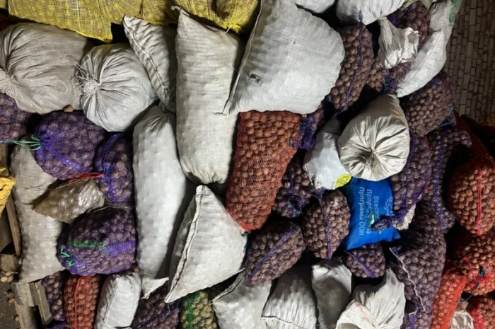 Горіх в шкарлупі- фото № 1