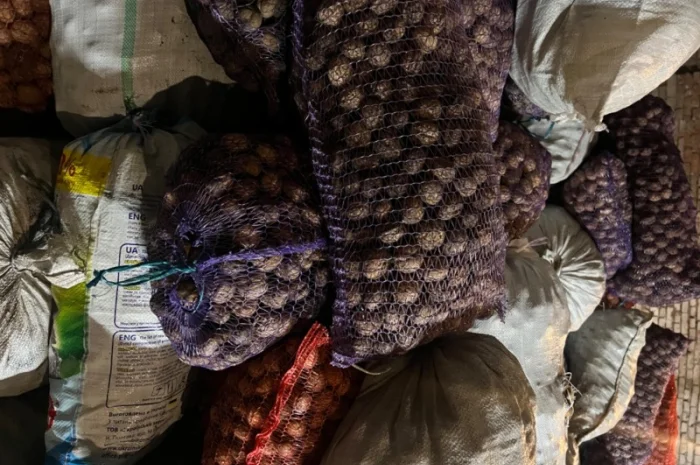 Горіх в шкарлупі- фото № 2