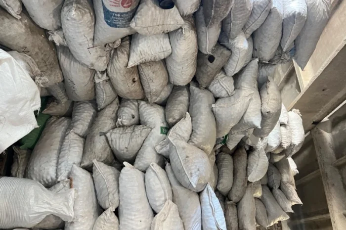 Горіх в шкарлупі- фото № 5