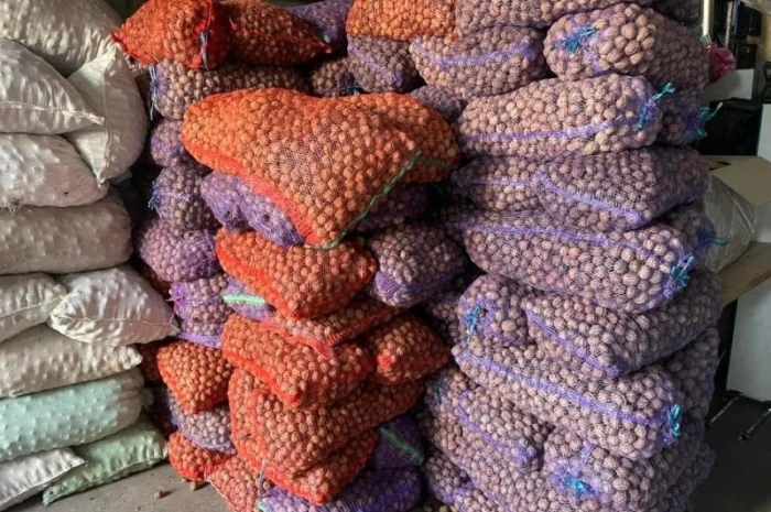 Куплю горіх(гурт)- фото № 1