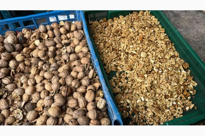 Куплю горіх(гурт)- фото № 4