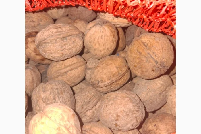 Продам горіхи- фото № 1