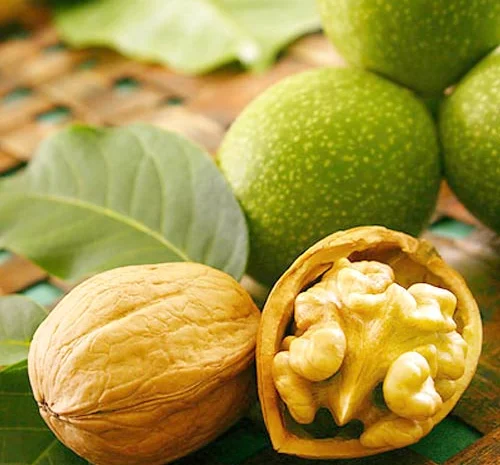 Куплю грецький горіх- фото № 1