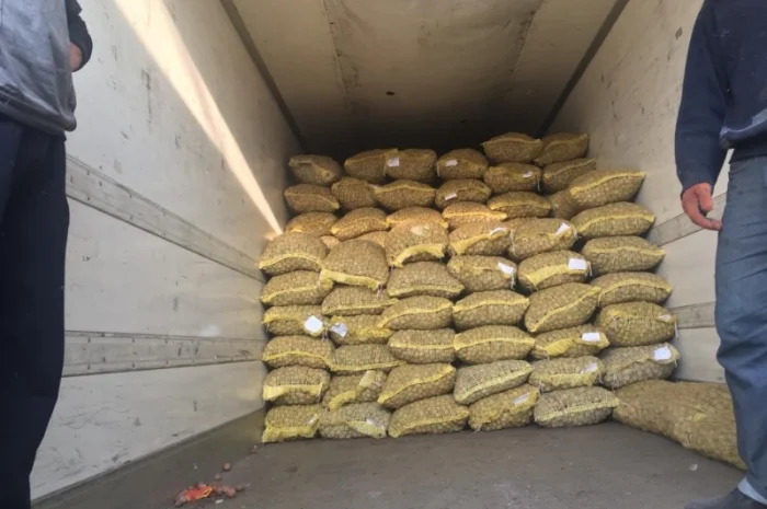 Продаем целый грецкий орех- фото № 2