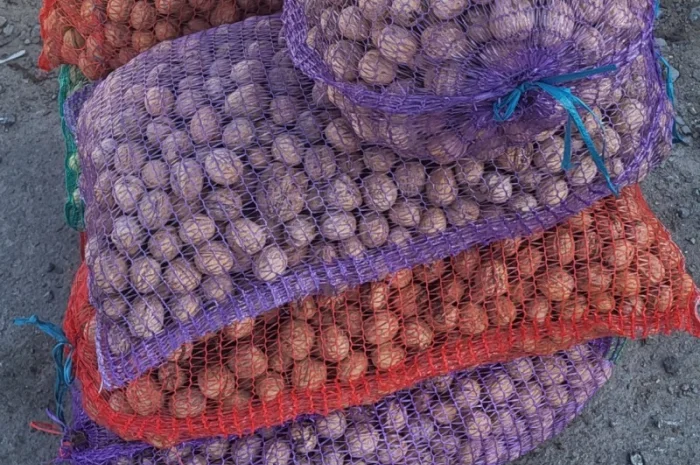 Горіх продам 2024- фото № 1