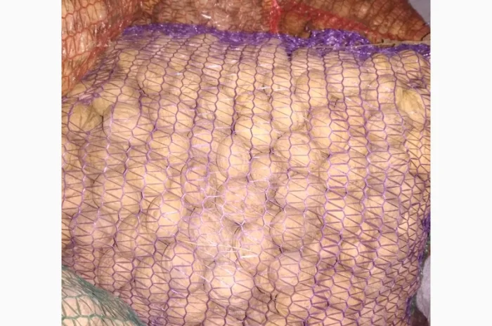 Шкарлупу горіха відам безкоштовно- фото № 1