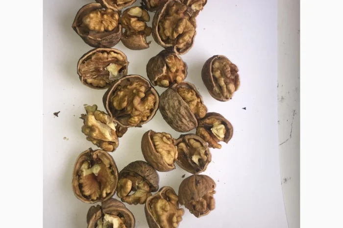 Куплю цілий горіх- фото № 1