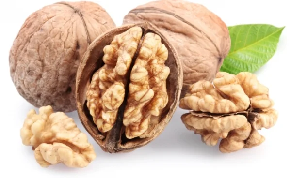 Куплю цілий волоський горіх та ядро горіха волоського- фото № 1