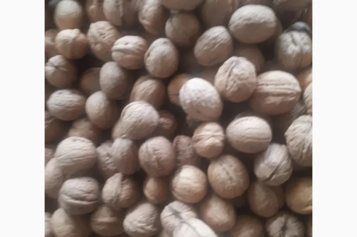 Куплю орех 2024- фото № 1