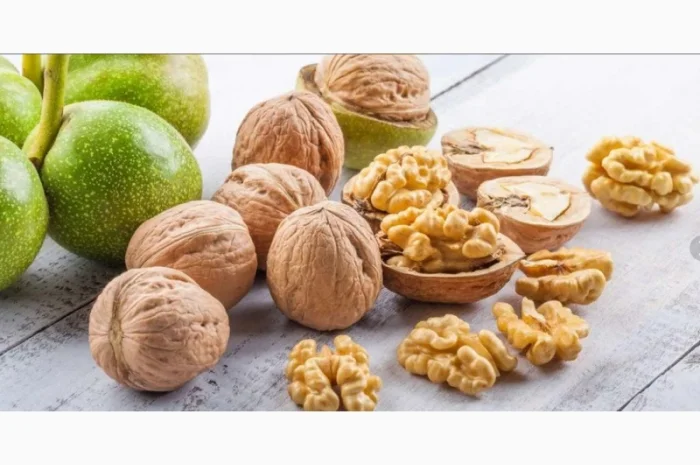 Куплю ядро грецького горіху- фото № 1