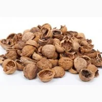 Закуповуємо шкаралупу грецького горіха- фото № 1