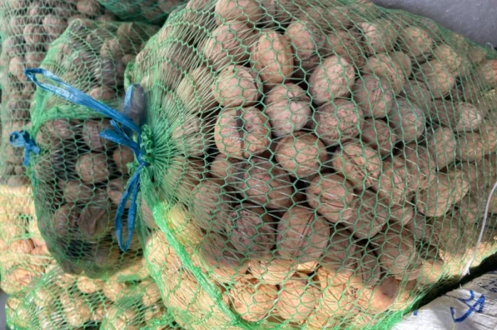 Продам горіх гарної якості 3 т- фото № 1