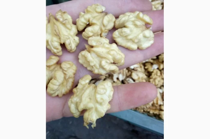 Куплю молочную бабочку и четверть, светлую и янтарную- фото № 1