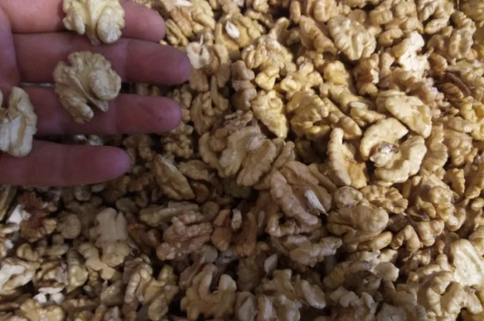 Закупаеи четверть, микс, бабочку в любом количестве- фото № 1