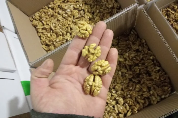 Куплю ядро грецкого ореха.мелкий и крупный опт- фото № 1