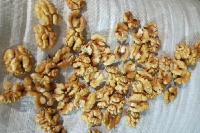 Закупаем ядро грецкого ореха.БАБОЧКА, ЧЕТВЕРТЬ, МИКС И янтарь- фото № 1