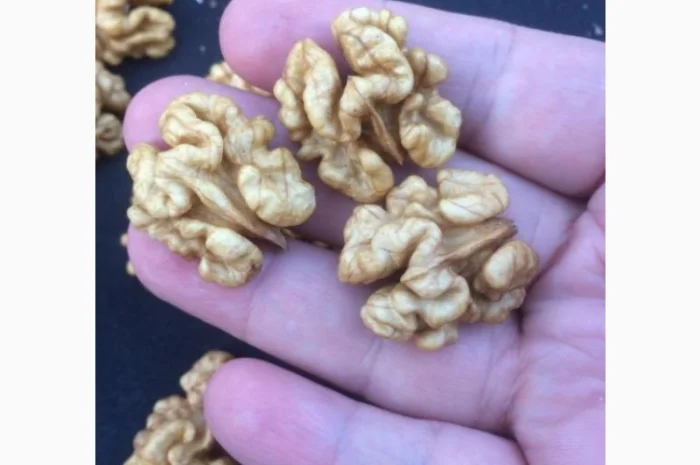 Горіхи грецькі чищені- фото № 1