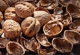 Продам Скорлупу грецького горіху, 4, 5 з місця. в наявності 150т- фото № 1