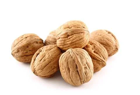 Куплю грецький горіх- фото № 1