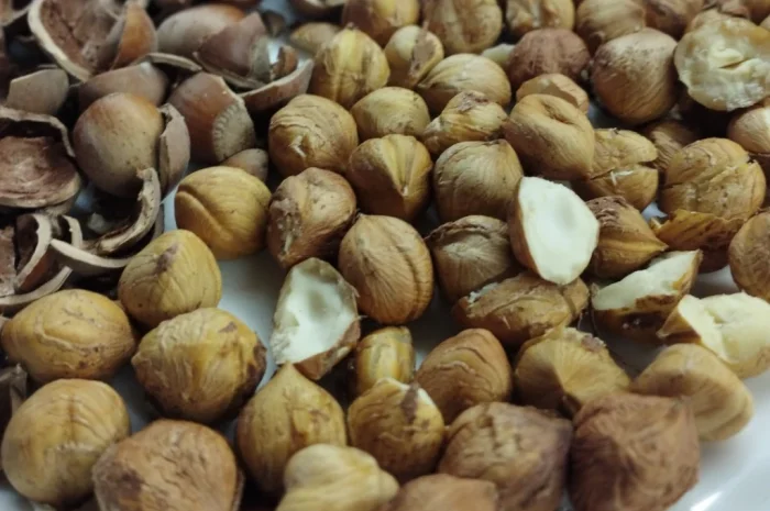 Сушений фундук з власного саду- фото № 1