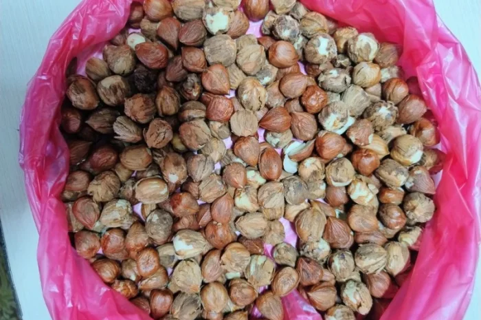 Продам фундук очищенный- фото № 1