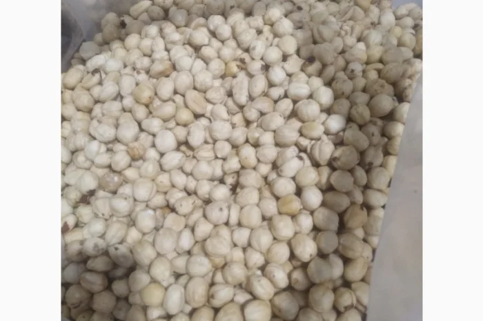 Фундук бланшированный жареный Грузия 13-15- фото № 1