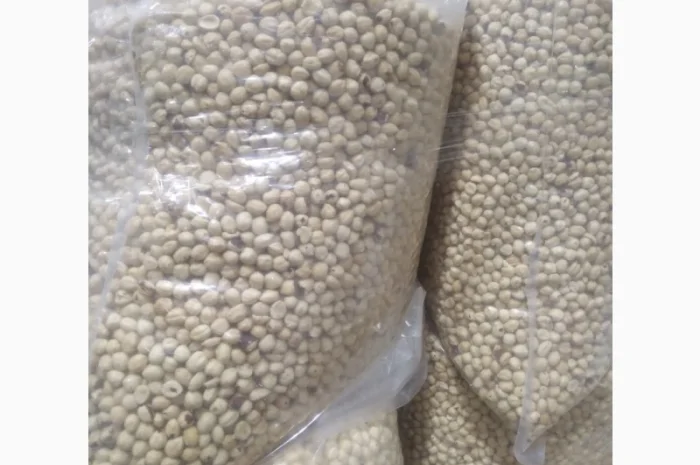 Фундук бланшированный жареный Грузия 13-15- фото № 2