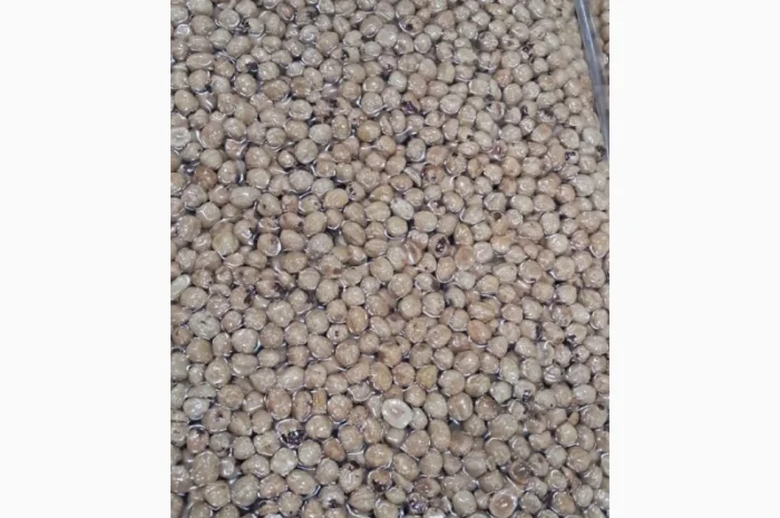 Фундук бланшований смажений з Грузії - опт і роздріб- фото № 1