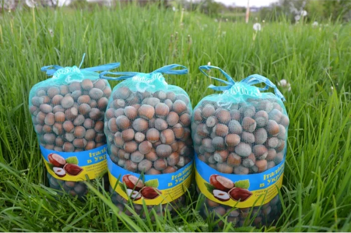 Продам горішки італійского сорту Тонда ди Джиффоні, торбинка 2кг- фото № 1