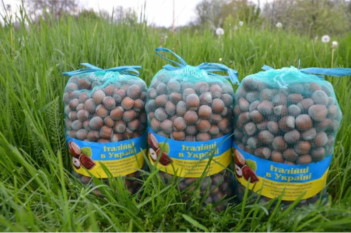 Продам горішки італійского сорту Тонда ди Джиффоні, торбинка 2кг- фото № 2