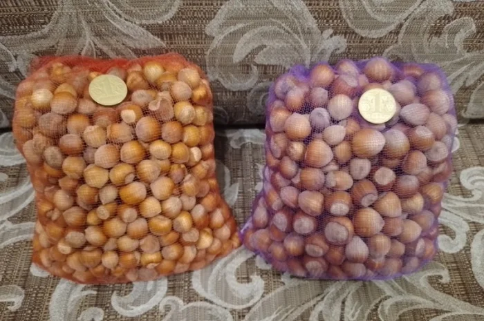 Фундук у шкаралупі (врожай 2024 року)- фото № 3