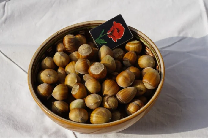 Продамо Фундук- фото № 1