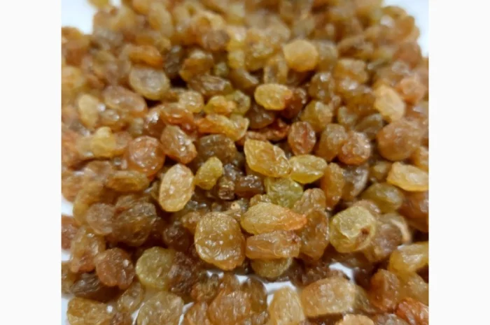 Изюм иранский- фото № 1