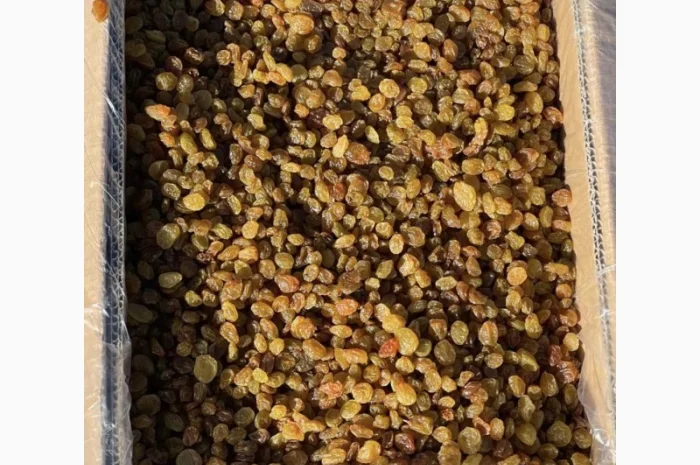 Изюм оптом- фото № 1