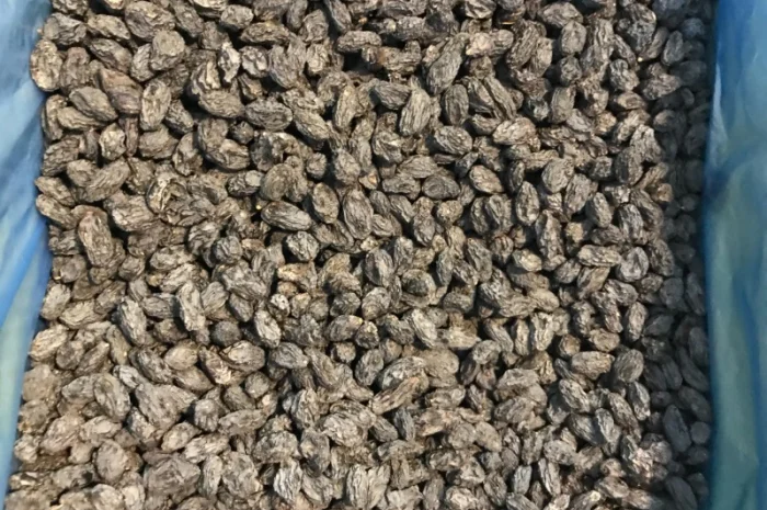 Изюм Узбекистан- фото № 3