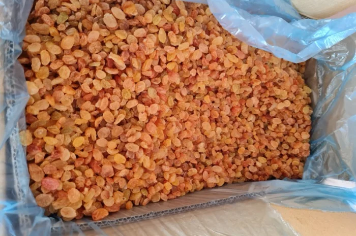 Продам изюм золотой Иран- фото № 1