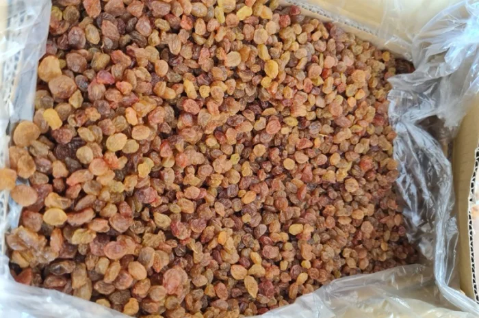 Продам изюм Малаяр Иран- фото № 1