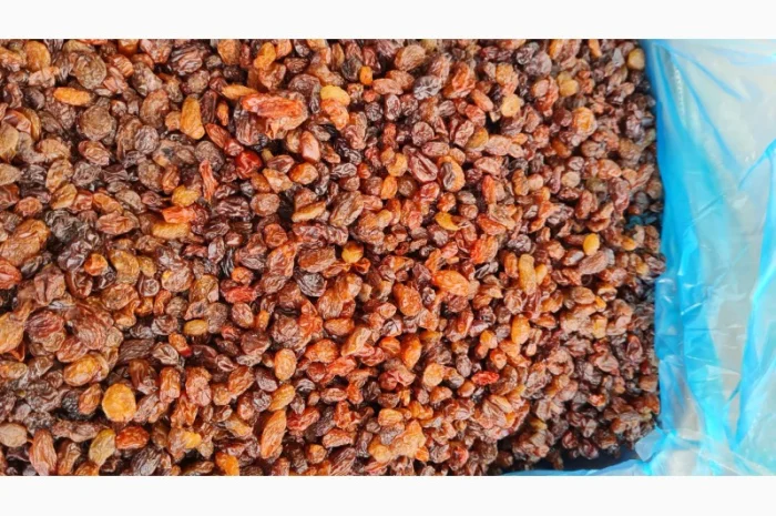 Продам изюм Узбекистан- фото № 1